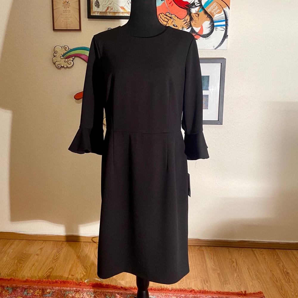 NWT Black Dress w. Charming Flair Sleeves